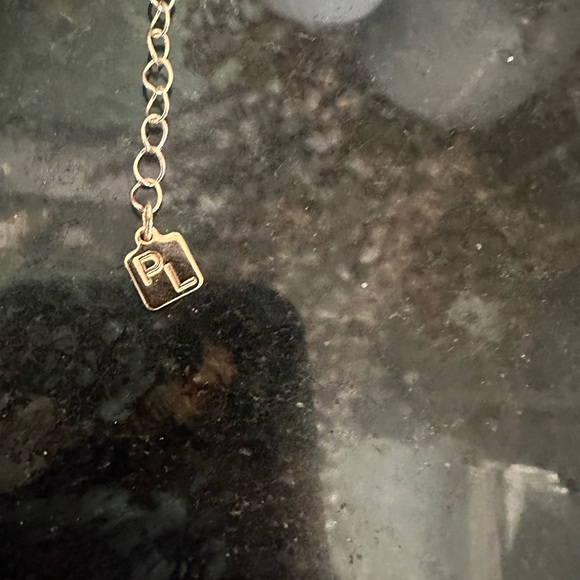 Park Lane Gold Paw Print Necklace - Picture 4 of 5